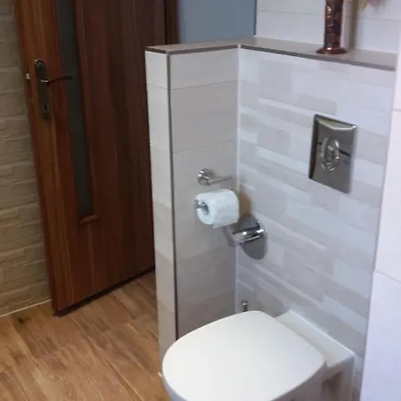 Garsoniera Stefi Apartment *